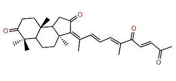 (E)-13-Isogeoditin A